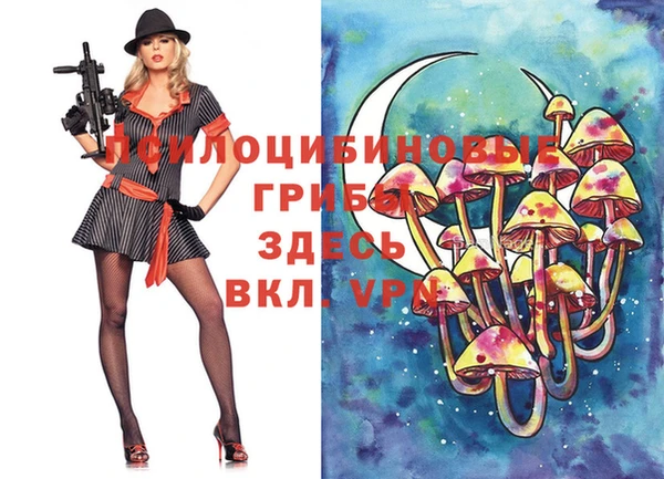 спайс Зерноград