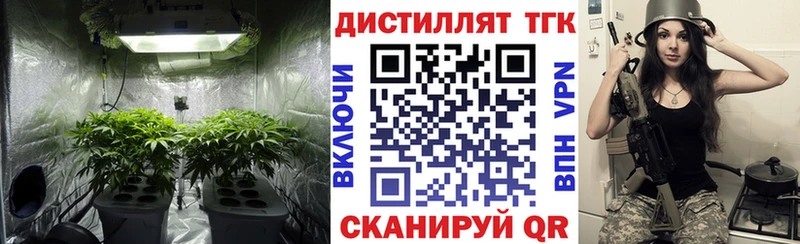 что такое   Сосновка  Дистиллят ТГК Wax 